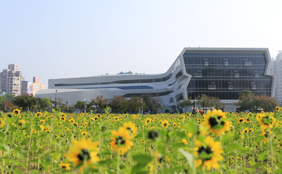 台中南區│國立公共資訊圖書館-到台中圖書館看書順便賞花拍照.復興建成營區空地變身繽紛花海