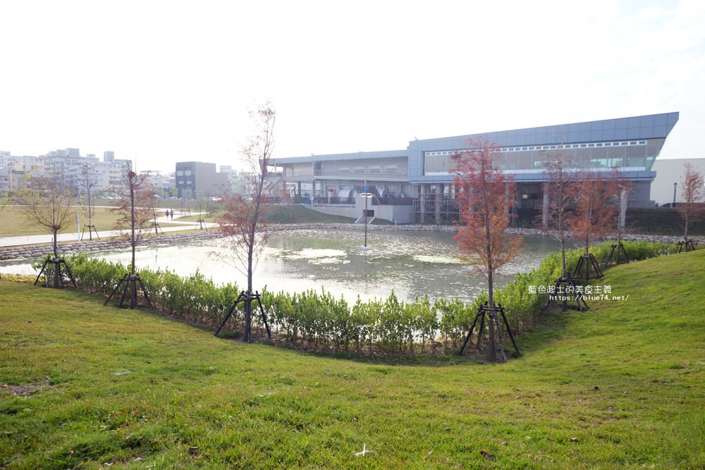 彰化員林│圓林園-員林新公園.新地標.滯洪池公園.步道草地落羽松.假日推薦休憩景點