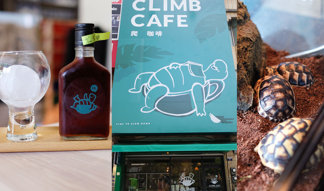 台中北區│爬咖啡CLIMB CAFE-喝咖啡長知識，遇見陸龜和球蟒及藍舌蜥的午茶時光